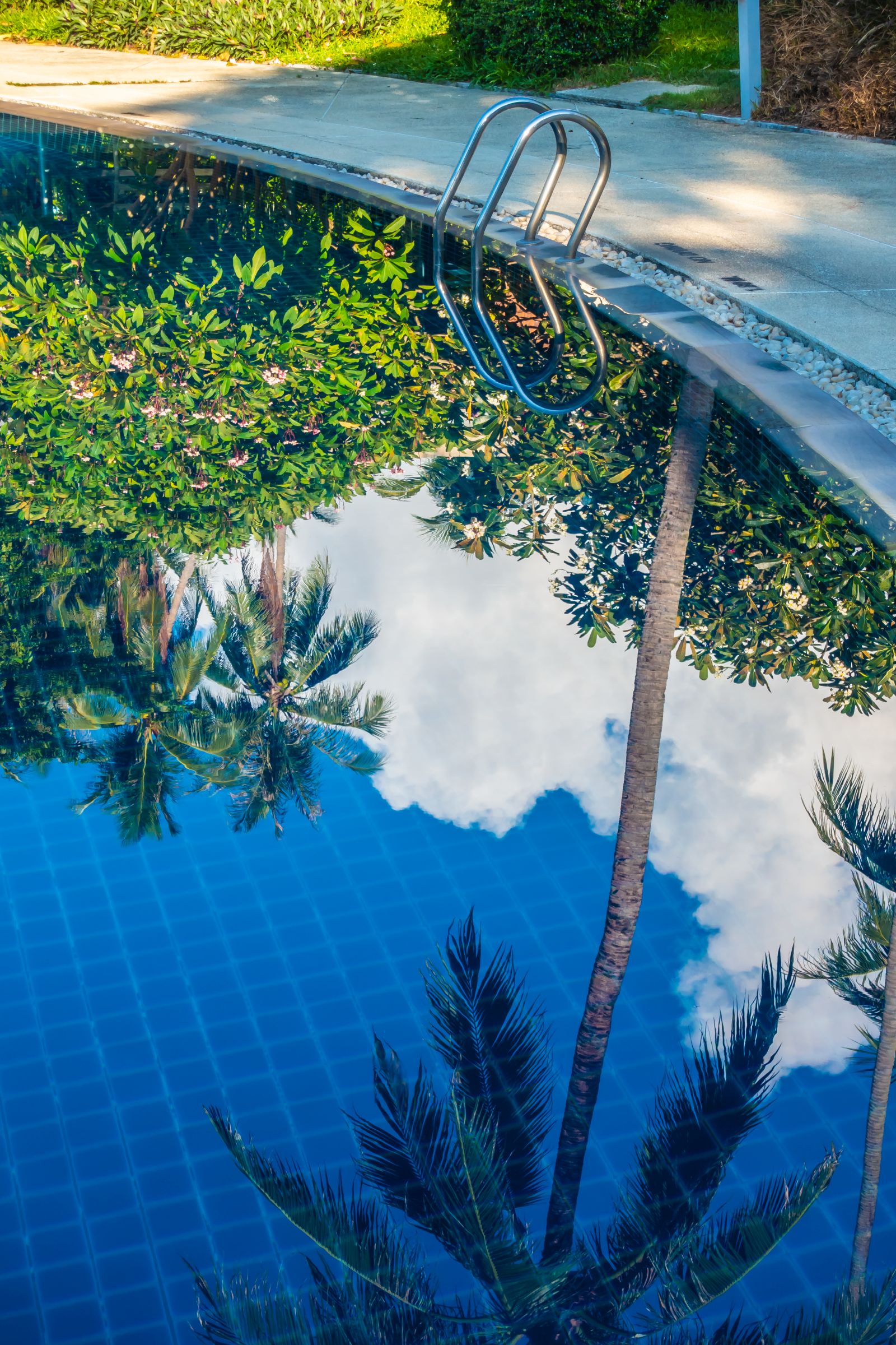 piscine naturelle